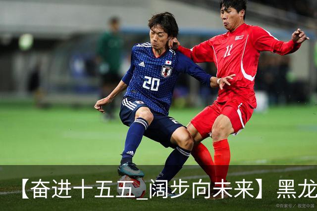 【奋进十五五 阔步向未来】黑龙江农机产业正加速迈向高端化智能化绿色化